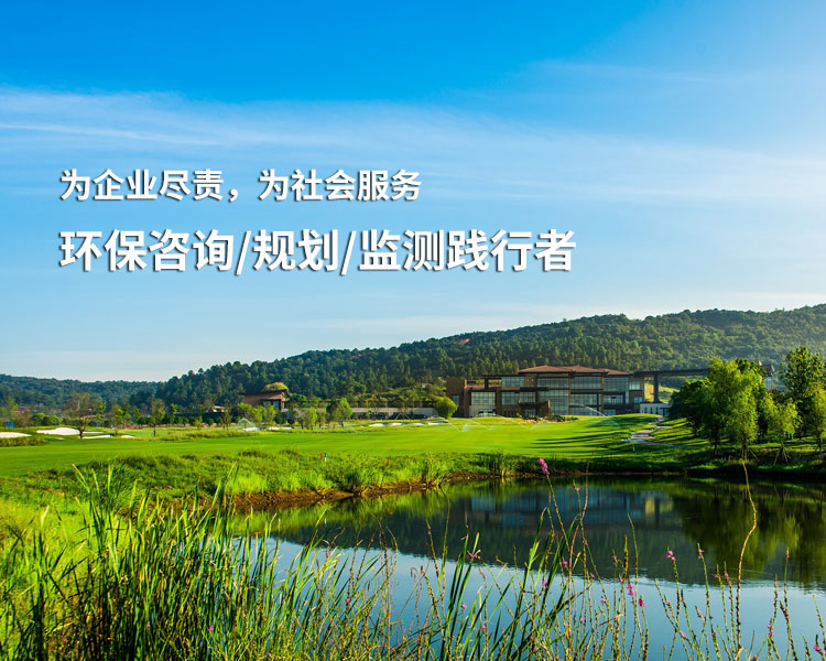 广西环保咨询找师源，快